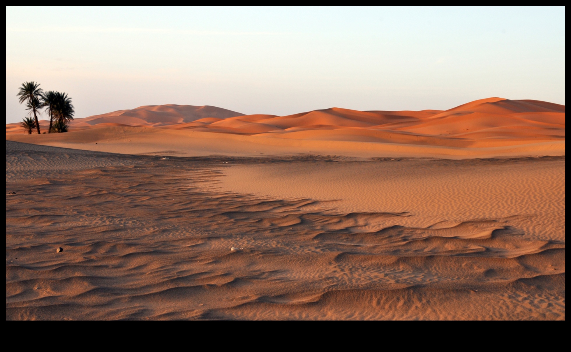 Desert Dreams: Lumea încântătoare a peisajelor aride