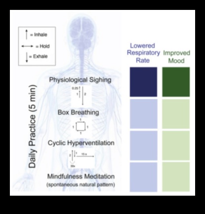 Respirați ușor: o abordare centrată pe respirație pentru cultivarea unor tehnici eficiente de ameliorare a stresului